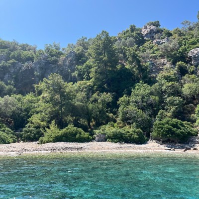 ENGLIVERCITY Yaz Kampı