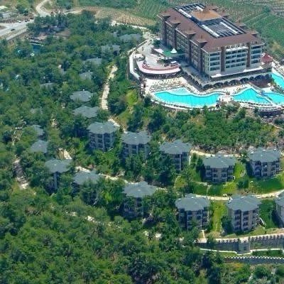 ENGLIVERCITY Yaz Kampı